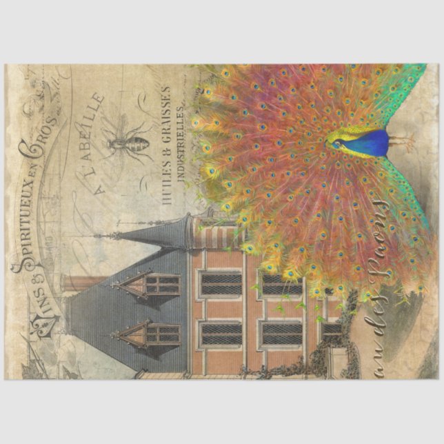 French Chateau Vintage Peacock Ephemera Decoupage Tissue Paper (Front)