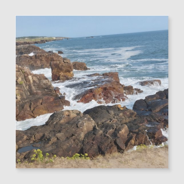 French coastline in Vendée (Front)