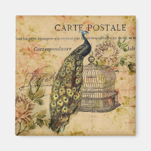 french country art nouveau vintage peacock magnet