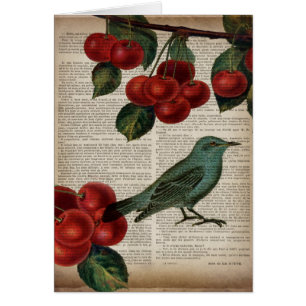 french country bird retro botanical red cherry