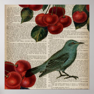 french country bird retro botanical red cherry poster