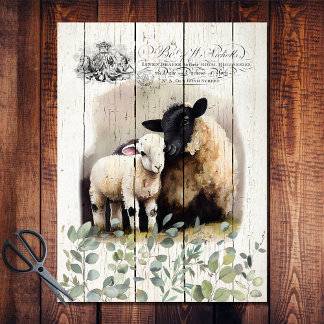 French Country Botanical Suffolk Sheep Tissue Paper