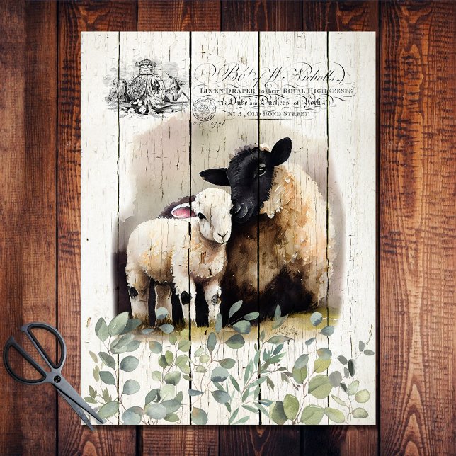 French Country Botanical Suffolk Sheep  Tissue Paper (Creator Uploaded)