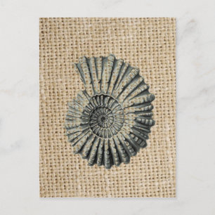French country burlap beach coastal chic seashell postcard