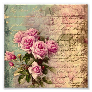 French country chic,shabby chic, pink roses, flora photo print