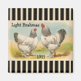 French Country Rooster Hen Poultry Fridge Magnet