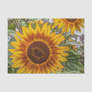 french country summer garden happy sunflower tissue paper