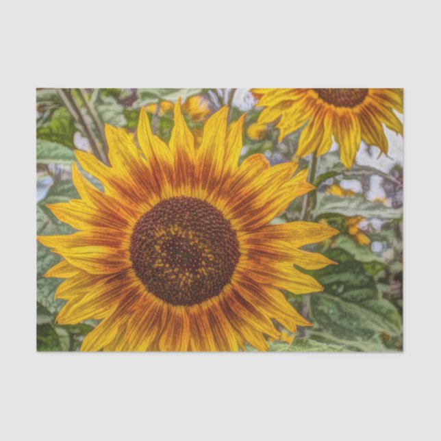 french country summer garden happy sunflower tissue paper (Front)