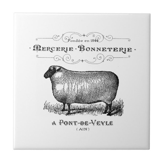French Country Vintage Sheep Farmhouse Typography  Tile (Front)