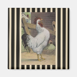 French Country White Rooster Hen Fridge Magnet
