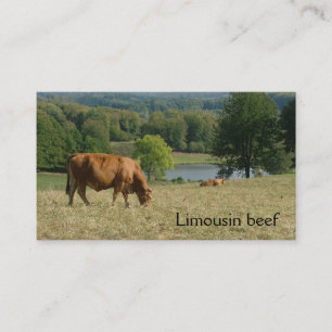 French countryside with Limousin cows Business Card