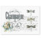 French Dragonfly Champagne Vintage Tissue Paper