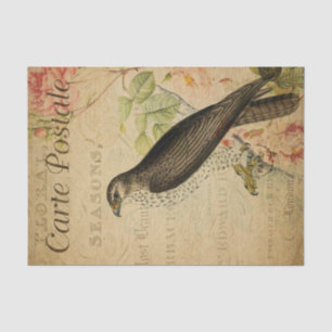 French Ephemera Buzzard Bird of Prey Decoupage Tissue Paper