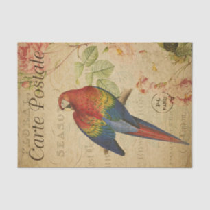 French Ephemera Red Yellow Macaw Floral Decoupage  Tissue Paper