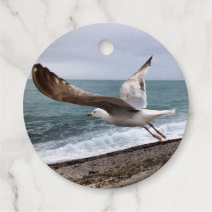 French Etretat seagull Favour Tags