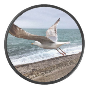 French Etretat seagull Hockey Puck