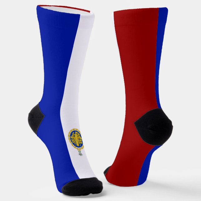 French flag-coat of arms socks (Angled)