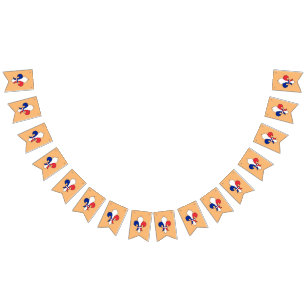 French Flag & Fleur De Lys Party France / Banners 