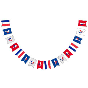 French Flag & Fleur De Lys Party France / Banners 