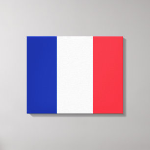 French Flag (France) Canvas Print