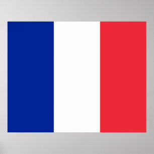 French Flag (France) Poster