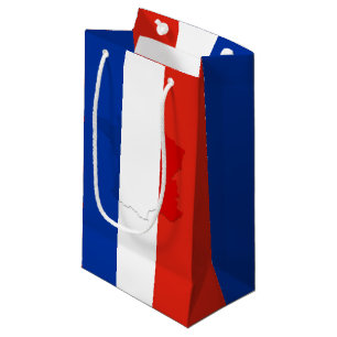 French flag small gift bag