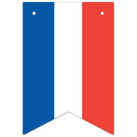 French Flag: Tricolor Bastille Day Party Banner