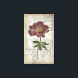 French Floral I Canvas Print<br><div class="desc">Floral</div>