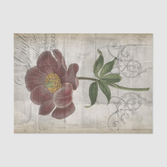 French Floral I Tissue Paper (Front)