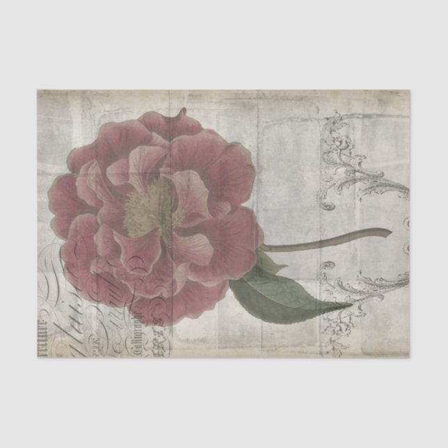 French Floral III Tissue Paper (Front)