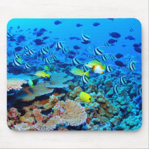 French Frigate Shoals reef with fish. Mouse Mat