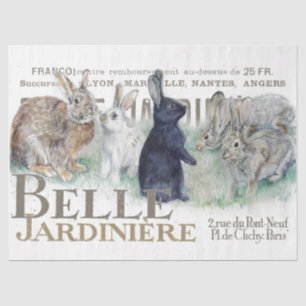 French Garden Vintage Bunny Rabbit Decoupage Type Tissue Paper