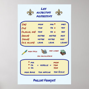 French Grammar Possessive Adjectives Poster