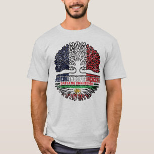 French Grown, Iranian Roots – Lion and Sun T-Shirt