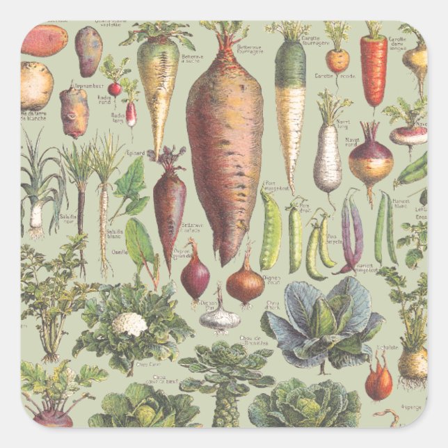 French Guide To The Garden Square Sticker (Front)