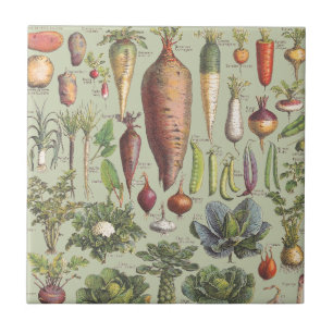 French Guide To The Garden Tile