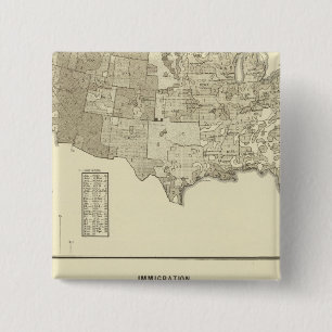 French Immigration 15 Cm Square Badge