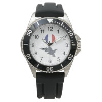 French Jet Fighter