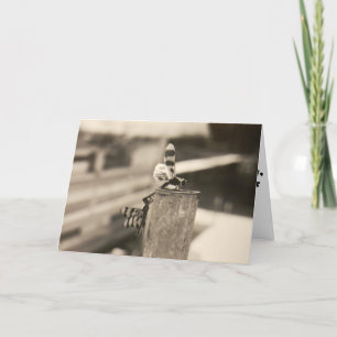 "French Lake Dragonflies" Get Well Card #1