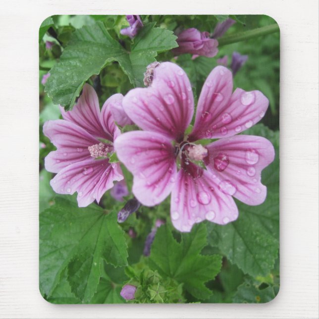 French Mallows Photo Mousepad (Front)