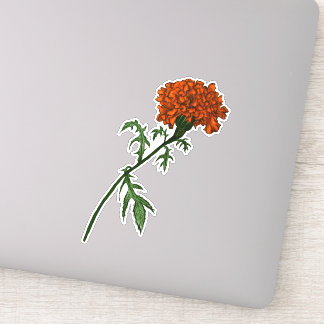 French Marigold Flower Ink Drawing