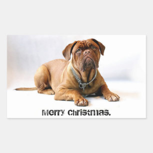 French Mastiff Deadpan Dog Merry Christmas Sticker