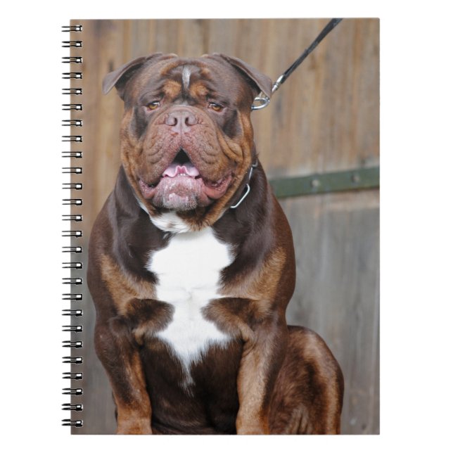French Mastiff Notebook (Front)