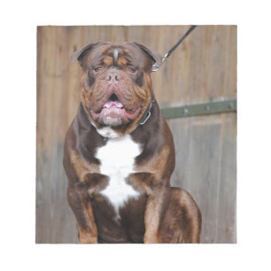 French Mastiff Notepad