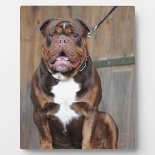 French Mastiff Plaque