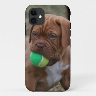 French Mastiff Puppy iPhone 11 Case