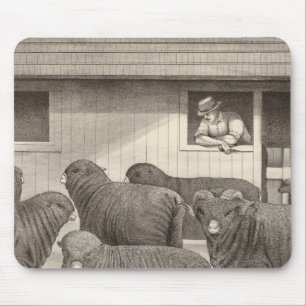 French merino sheep mouse mat