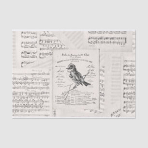 French Music Concert Bird Sheet Music Vintage
