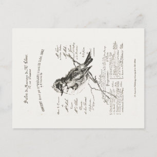 French Music Salon Bird Script Postcard