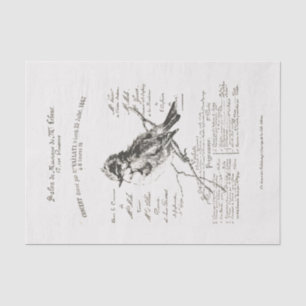 French Music Salon Bird Script Tissue Paper